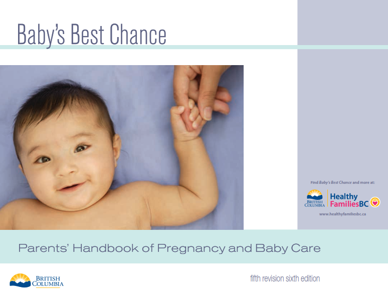 Baby Best Chace : Parents Handbook Of Pregnancy and Baby Care