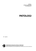 Patologi